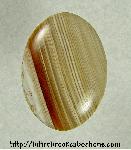 Petrified Wood Cabochon Petrified Wood Cabochon