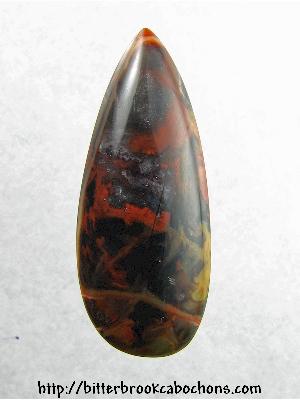 Petrified Wood Cabochon