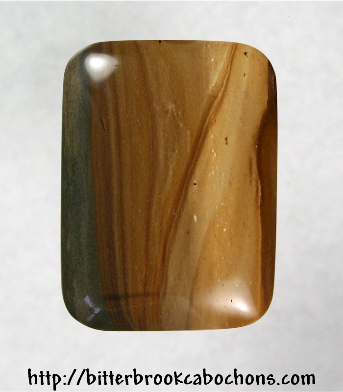 Petrified Wood Cabochon