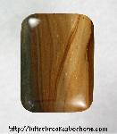 Petrified Wood Cabochon Petrified Wood Cabochon