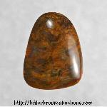 Petrified Wood Cabochon Petrified Wood Cabochon