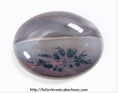 Picture Jasper Cabochon