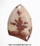 Picture Jasper Cabochon Picture Jasper Cabochon