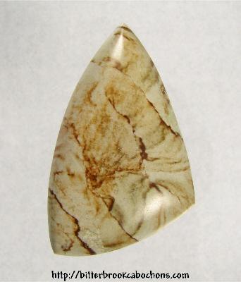 Picture Jasper Cabochon