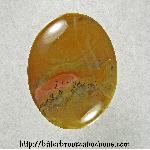Picture Jasper Cabochon Picture Jasper Cabochon
