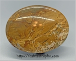 Picture Jasper Cabochon Picture Jasper Cabochon