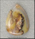 Plume Agate Plume Agate