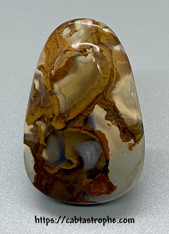 Plume Agate Cabochon