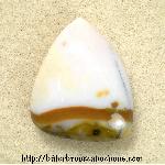 Polkadot Jasper Cabochon Polkadot Jasper Cabochon