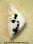 Polkadot Jasper Cabochon Polkadot Jasper Cabochon