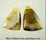 Polkadot Jasper Cabochons Polkadot Jasper Cabochons