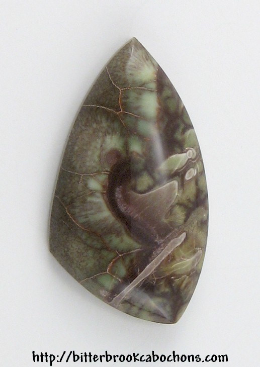 Rainforest Jasper