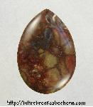 Rainforest Jasper Cabochon Rainforest Jasper Cabochon