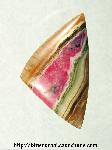 Rhodochrosite Cabochon Rhodochrosite Cabochon