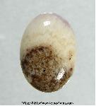 Rescue Cabochon Rescue Cabochon