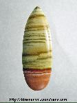 Rhyolite Cabochon Rhyolite Cabochon
