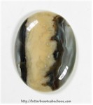 Seam Agate Cabochon Seam Agate Cabochon