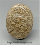 Script Cabochon Script Cabochon