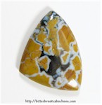 Stone Canyon Jasper Stone Canyon Jasper