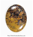 Tiffany Stone Tiffany Stone