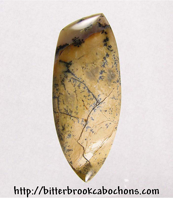 Tree Jasper Cabochon