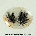 Tree Jasper Cabochon Tree Jasper Cabochon