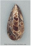 Turritella Jasper Cabochon Turritella Jasper Cabochon