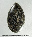 Turritella Jasper Cabochon Turritella Jasper Cabochon