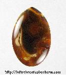 Unknown Stone Cabochon Unknown Stone Cabochon