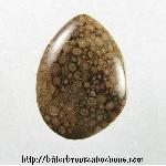 Unknown Stone Cabochon Unknown Stone Cabochon