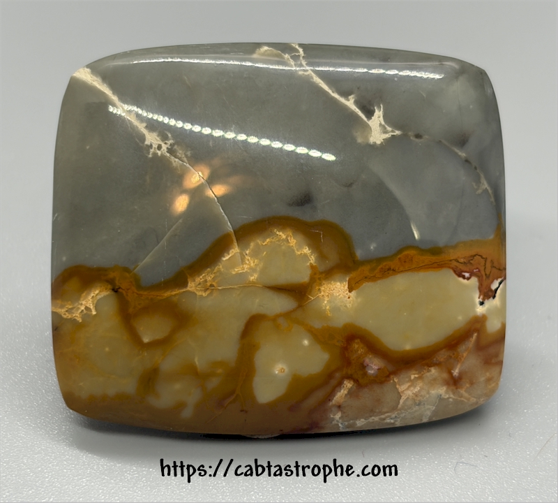 Wild Horse Picture Jasper Cabochon