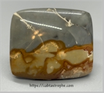 Wild Horse Picture Jasper Cabochon